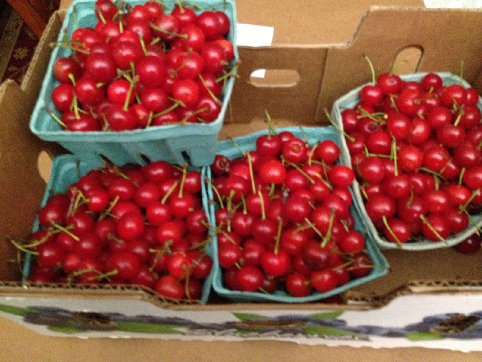 Six Degrees of Preparation Pie cherries!